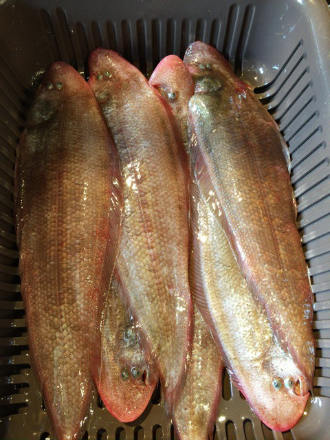 {738A4CBC-105C-4E6C-95F3-BF5D68BC3AB5}