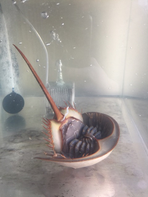 {74D0C296-6D90-4A96-9422-009CC32C4C26}