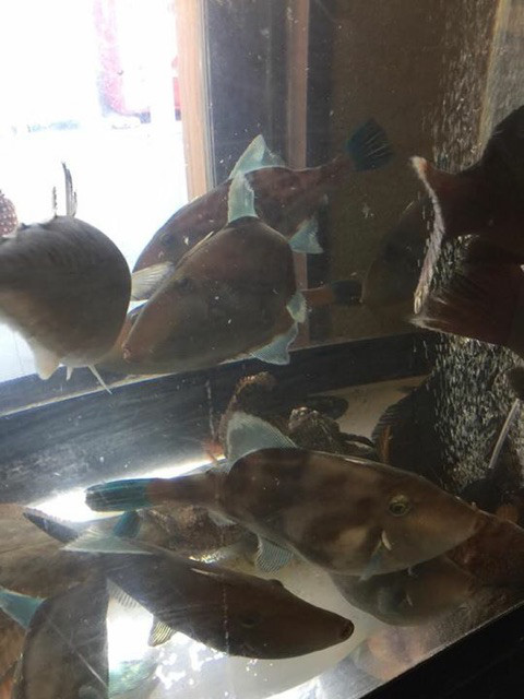 {A61F60E6-8DF7-4C9E-B16D-A3B491E0F27E}