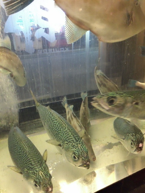 {05355BF3-F0D3-4213-894A-5939DB1E86D9}