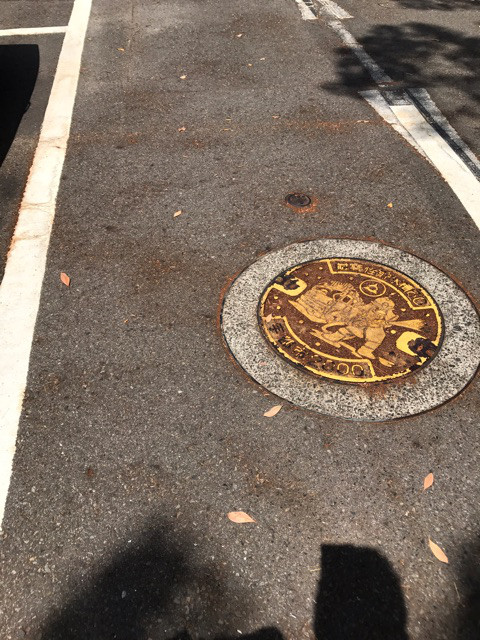 {29F5E081-D3F1-487E-9078-0DF7619FB6DC}