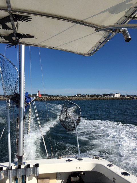 {7833F7E5-1E38-4428-8973-B8CDB09CB81E}