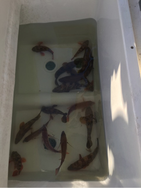 {AD8ACDB3-D8DF-481E-A972-CCB4F21A861A}