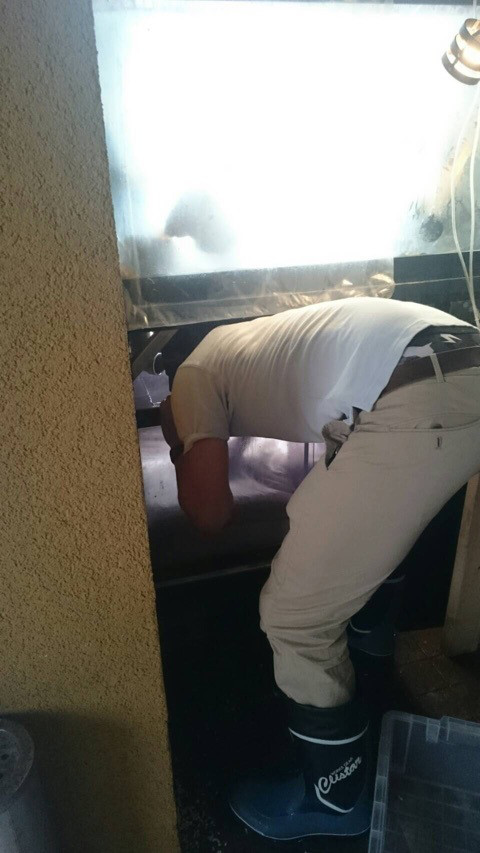 {9652E22B-A2D4-493D-BDE6-15AD34C2B0A8}