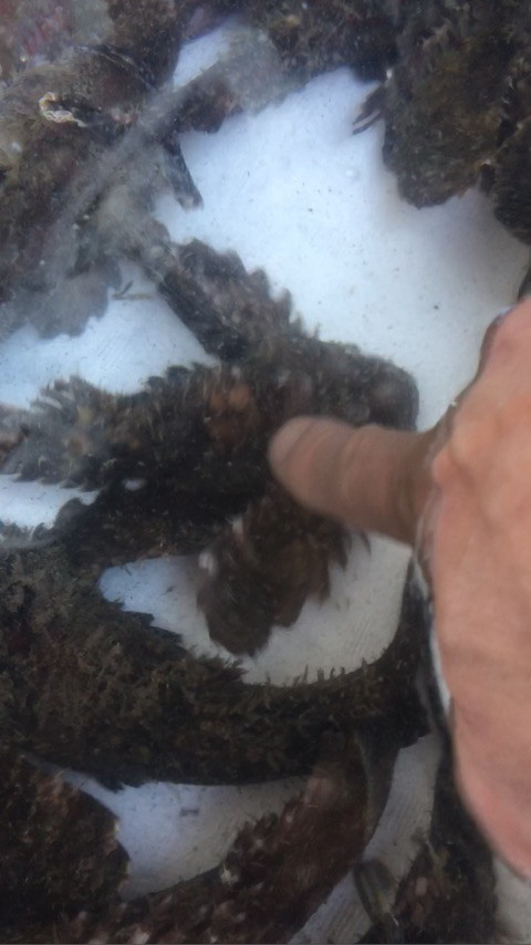 {95B55135-FCD9-410B-94F9-31A68FB38A01}