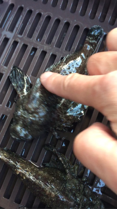 {3F8D8206-146D-4DA4-9E7F-3EC8CFD51980}