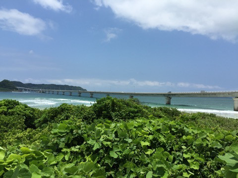 {220F853E-570A-48CD-9237-4CB4628977BF:01}