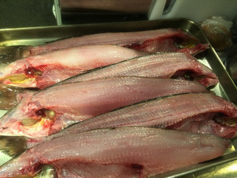 {F9197653-5593-4AB3-B826-59E62C660997:01}