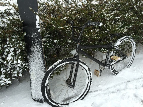 {C7F6CA3C-CADD-4F25-8C05-5DBE22D2670D:01}