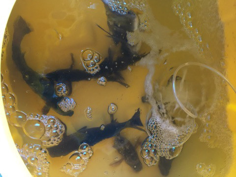 {AE393A42-7CE2-4EAE-8093-3814FD686B34:01}