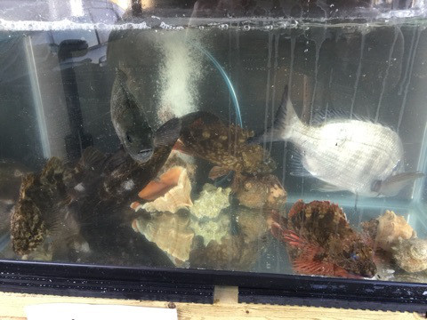 {E9804D8C-A46C-4C1D-AA56-49DAC0AAB51E:01}