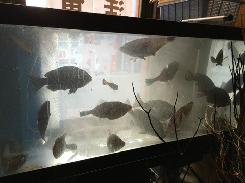 {A47079E2-37CC-4ED0-B32A-FF9FDC2408CB:01}