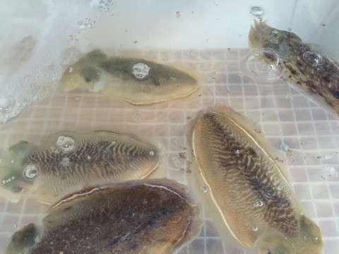 {93B40F5D-1B15-4E67-AB2F-0D284F8F84DA}