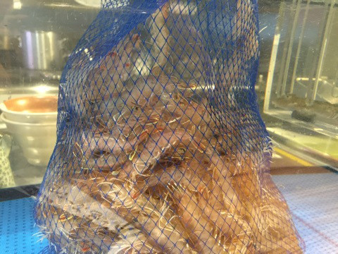 {F40285B0-356D-4BEB-8237-515E412AAA10}