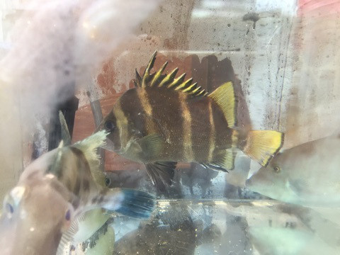 {C0D316EC-15FB-48FD-AEBA-D1334113CAD7}