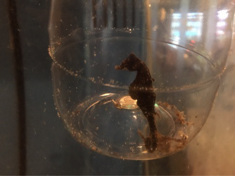 {1613D706-4682-48E5-80A2-9D699C29EDB5}