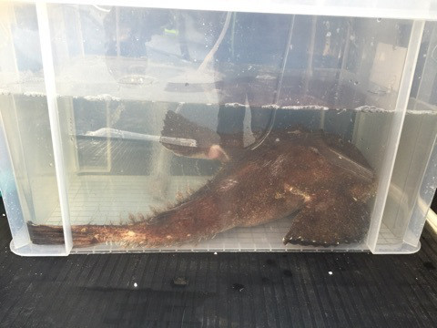 {E7492B18-1C4D-4884-A2D9-2E6C0432B503}