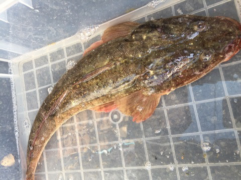 {A59B9B66-3D47-48CA-BF57-90D73ABBE439}