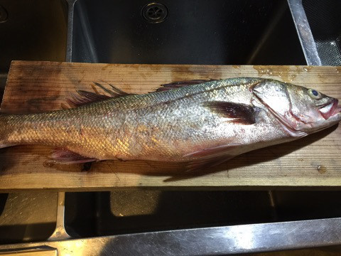 {28495C3E-BC36-4FAB-9315-3660A2A85883}