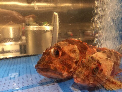 {85989153-7D1F-41DB-9F83-7AF37BE5DA48}