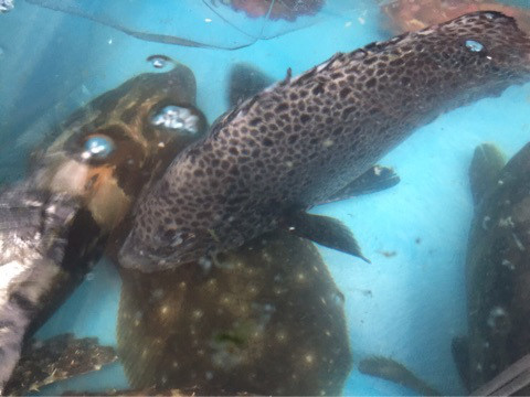 {02CF73D8-9645-49DF-89CA-C1ACE41B14E1}