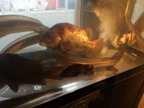 {4228F34B-F5E3-4FC6-8709-0B79D141AAE5}