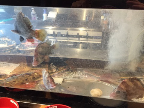 {52FC25F4-ABCD-4448-9D15-B22AAD3D6B10}