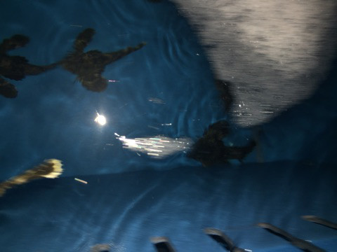 {DAF6DCE4-2FFE-498C-B237-007FE0EC0E58}