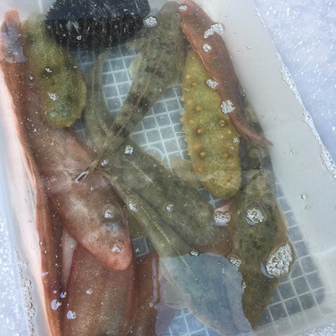 {62EB659C-C23F-4FAB-9AB8-DE92A7E6390F}