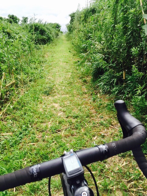 {29E8024E-F696-470D-AA71-AD807B99C668:01}