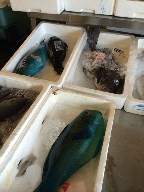 {E11248EA-D3A7-45BE-836E-8A764332691B:01}