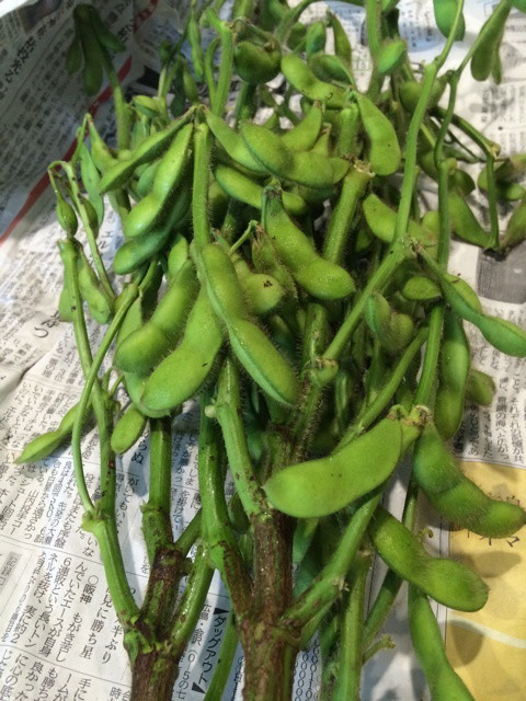 {54CA51D4-519D-49F8-B482-B1B39878ACA5:01}