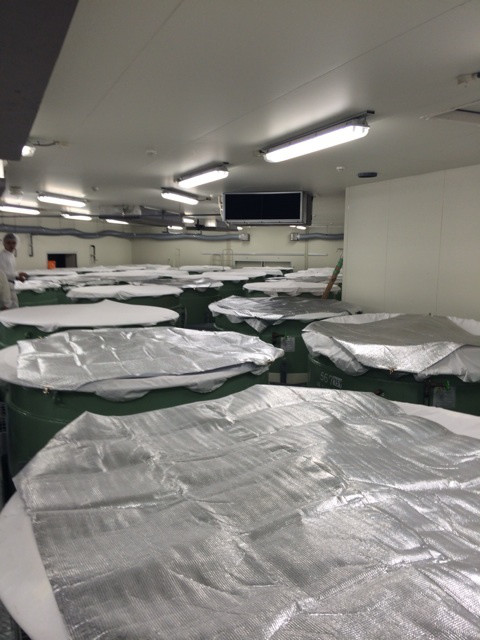 {3FA219C6-8F31-41C2-A27F-94CB19C9C0AB:01}