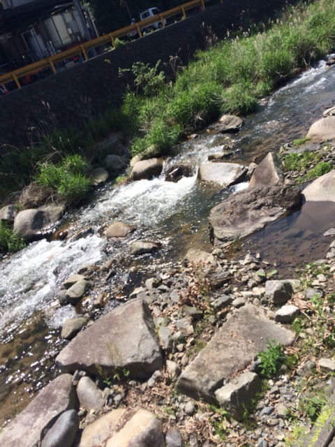 {10664149-0D85-4935-A21A-2446DAA8159C:01}