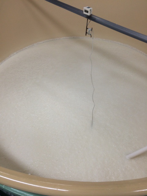 {82100D1E-E223-44F9-99EB-483C64C316B9:01}