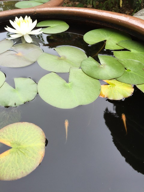 {20A9A7BA-0F8E-4C2D-BFDD-10B90F0FB992:01}