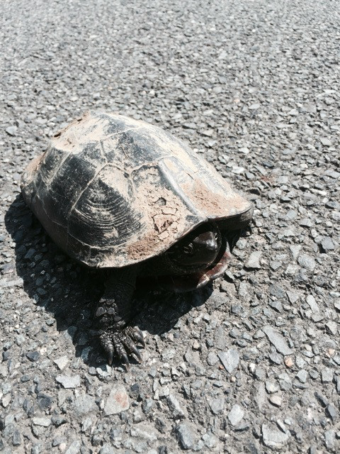 {858B4D67-4C7A-4B0E-8B20-AB59D64A32B8:01}