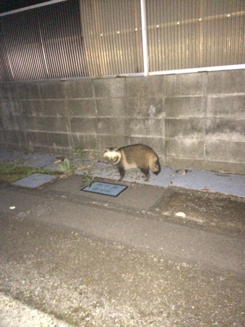 {52B4F70D-BF09-4282-9407-6C16EBBF14CE:01}