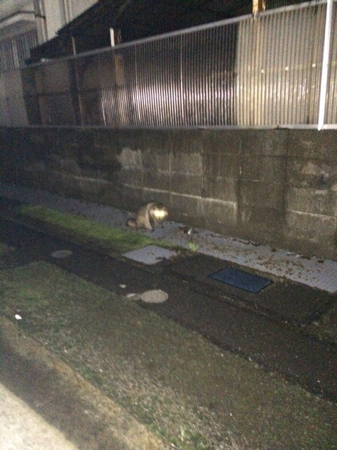 {FA4C6E8A-25AE-4DB3-9245-F3DD3E01538B:01}