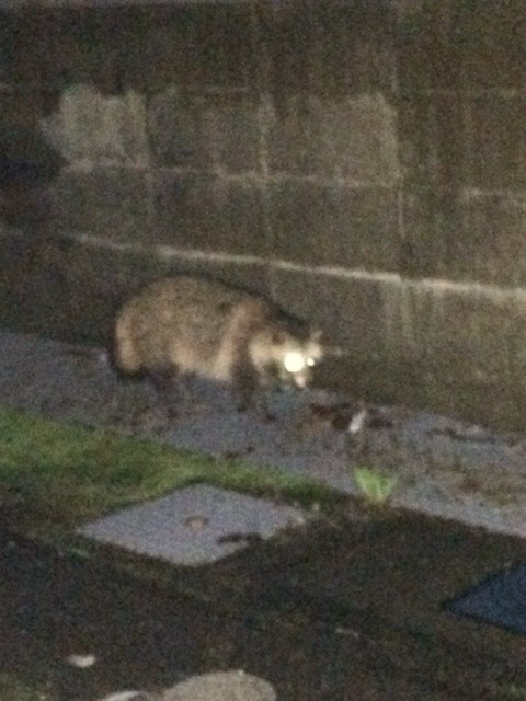 {94A1FA42-29AC-4325-8348-220799F18872:01}