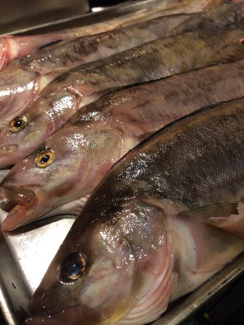 {03B1E603-7AD9-46B2-A886-63C988BEC01C:01}