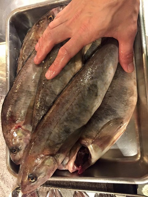 {8EC52FC3-6BF6-4986-B429-0A2416A78E12:01}