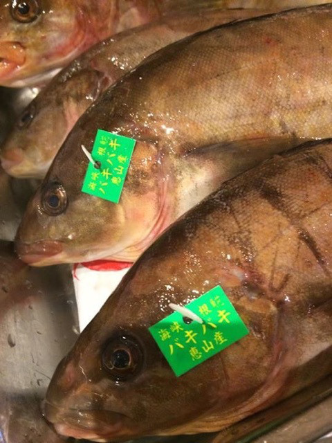 {E7376DFB-440C-4002-A90F-B8032BF2A955:01}