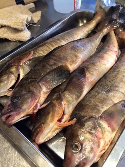 {AC104B94-53BE-4FEA-931F-BA8E030C32C6:01}