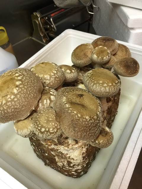 {2F0BB725-D0C9-43EE-9EDC-11F54A338387:01}