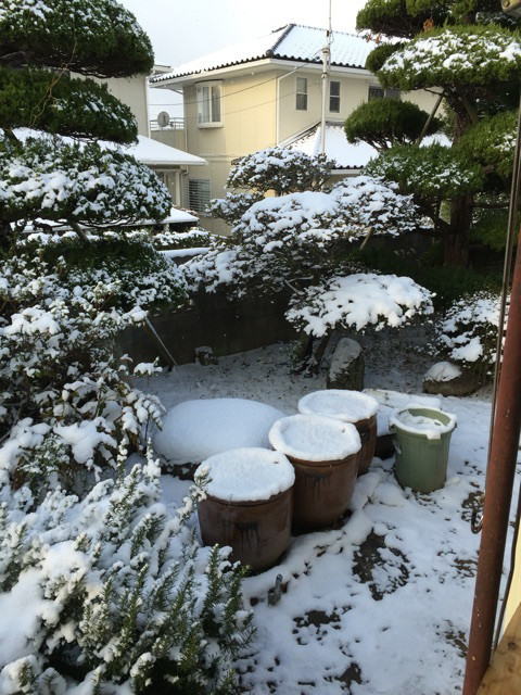 {B3263BB6-FFE7-46D3-B6CB-DE56963DFF91:01}