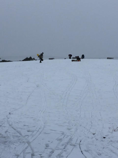 {B47F749A-3783-4AA9-9788-88E416530225:01}