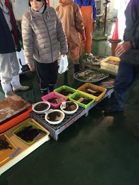 {F055C387-2FB2-49E8-ADD2-E08A4A781B60:01}