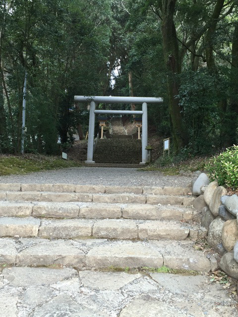 {06026376-FBE4-433B-A186-622232416419:01}