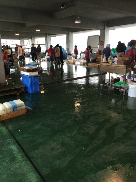 {F65D520B-6E32-4D0B-9CA4-E5EF627950FB}